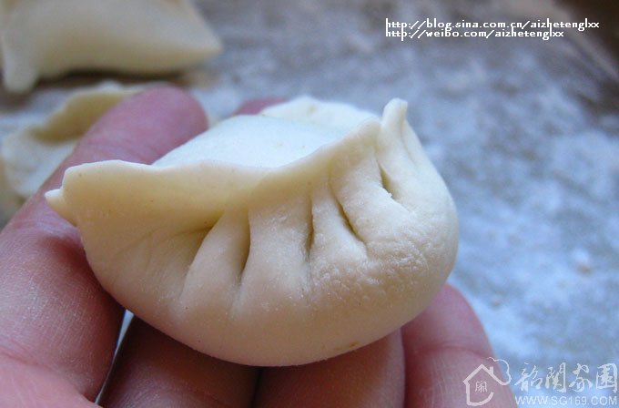 ݩ���ȵ�����