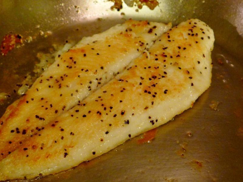 �������������â��ɯɯ��������