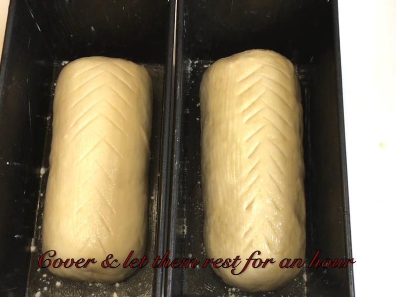 ��ʽ�㳦��������