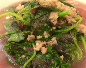 �Ȳ�������������