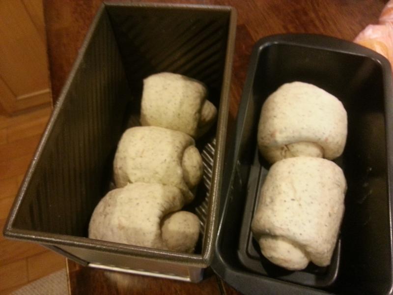 Ů��ʥƷ ~����ڶ�����ź��˾������