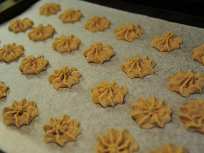 �����������ʹ��������