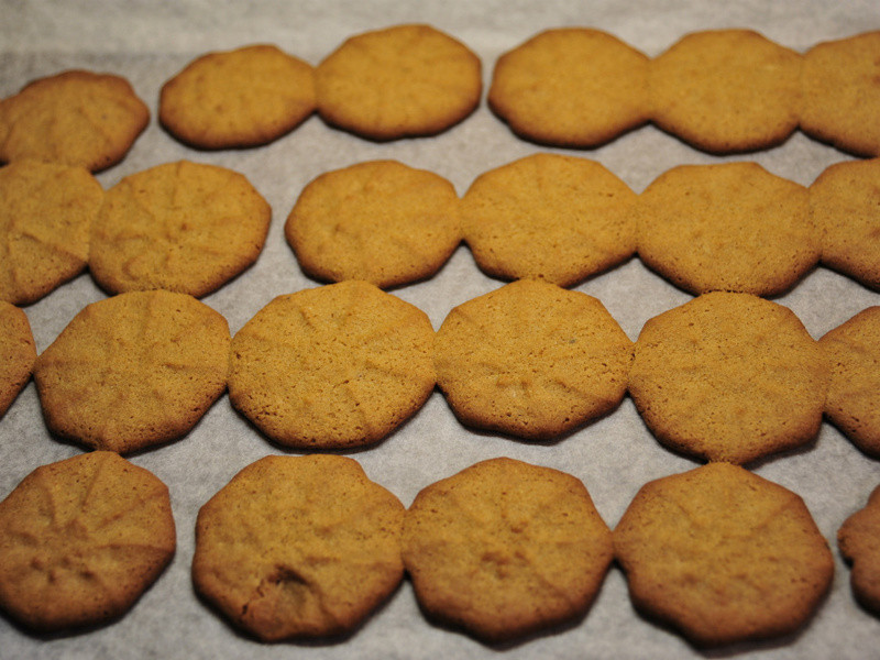 �����������ʹ��������