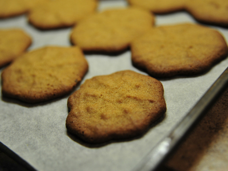 �����������ʹ��������