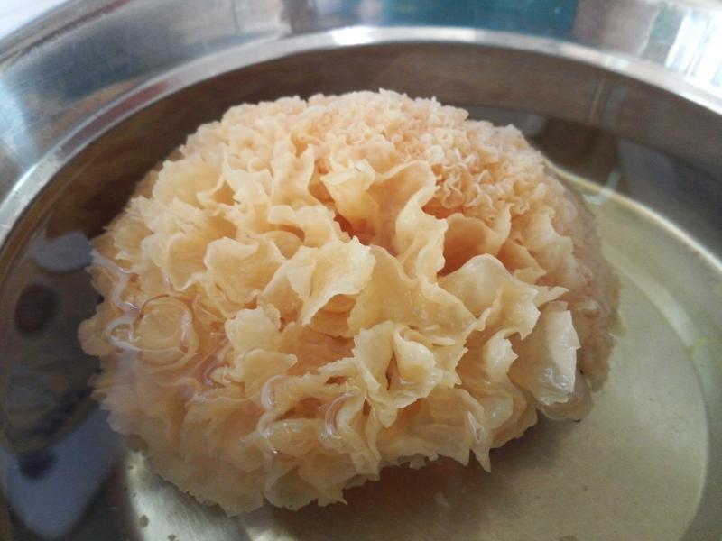 �Ϲ�ѩ����������������