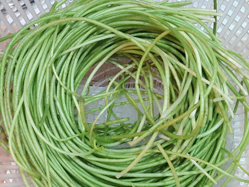 ��˿�峴ˮ��������