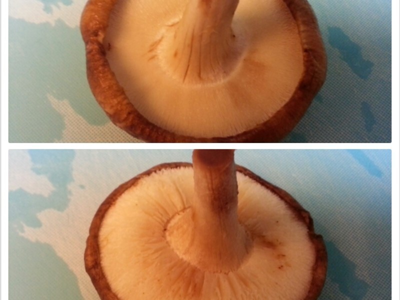 ���ͽ����㹽������