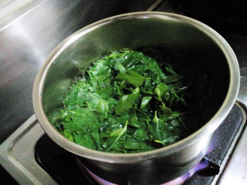 ɽ��Ҷ������������