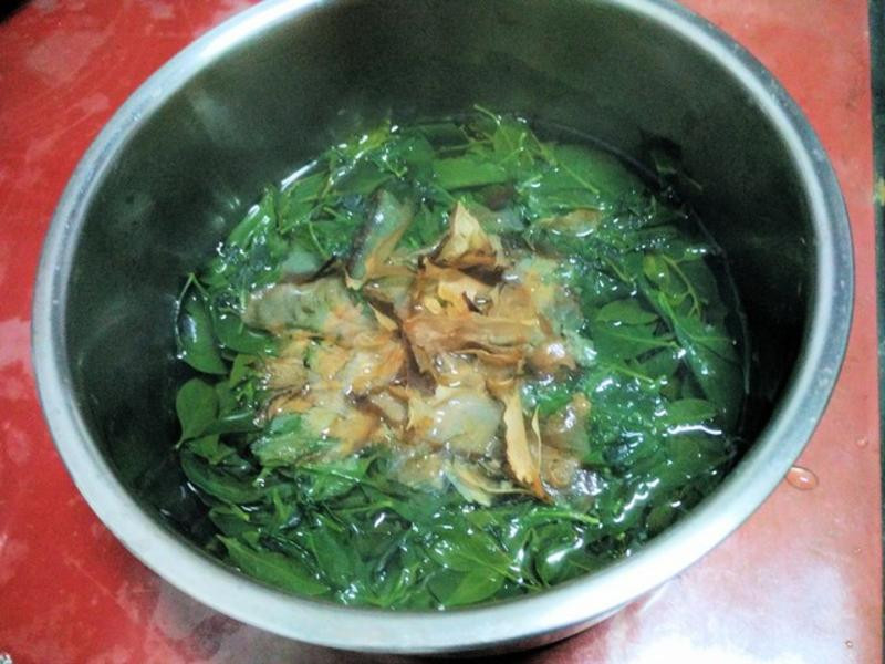 ɽ��Ҷ������������