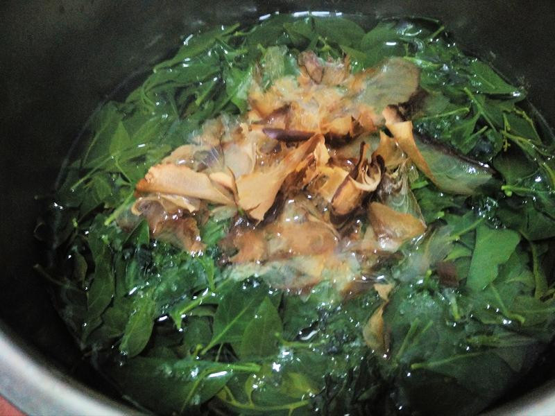 ɽ��Ҷ������������