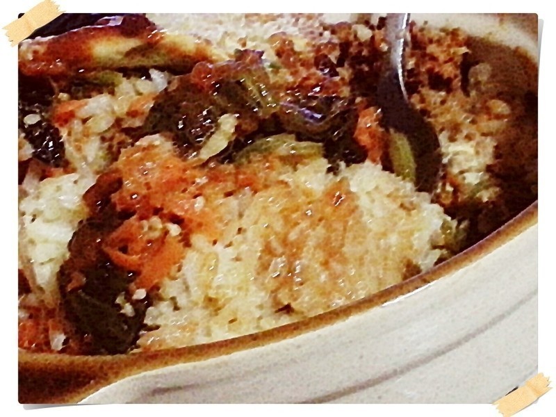 ��ʽʯ���跹(�й����չ���)������