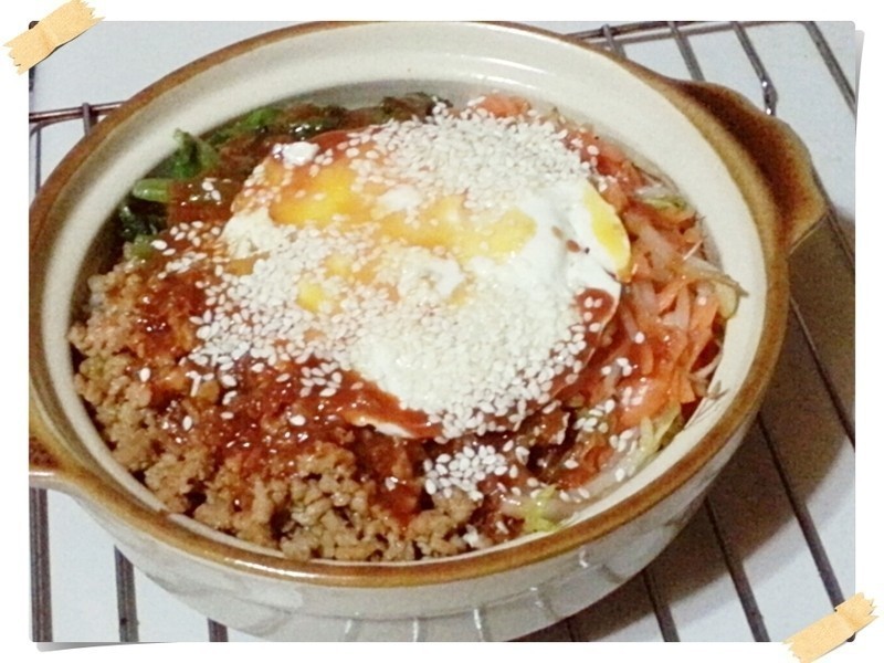 ��ʽʯ���跹(�й����չ���)������