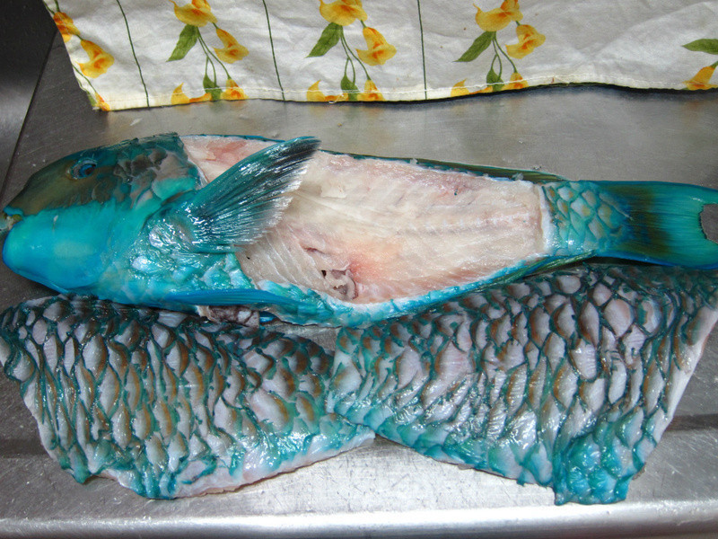 �����и������㡾Ұ�����m��������