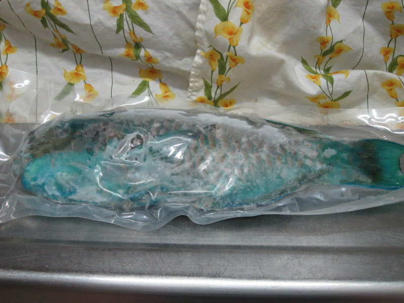 �����и������㡾Ұ�����m��������