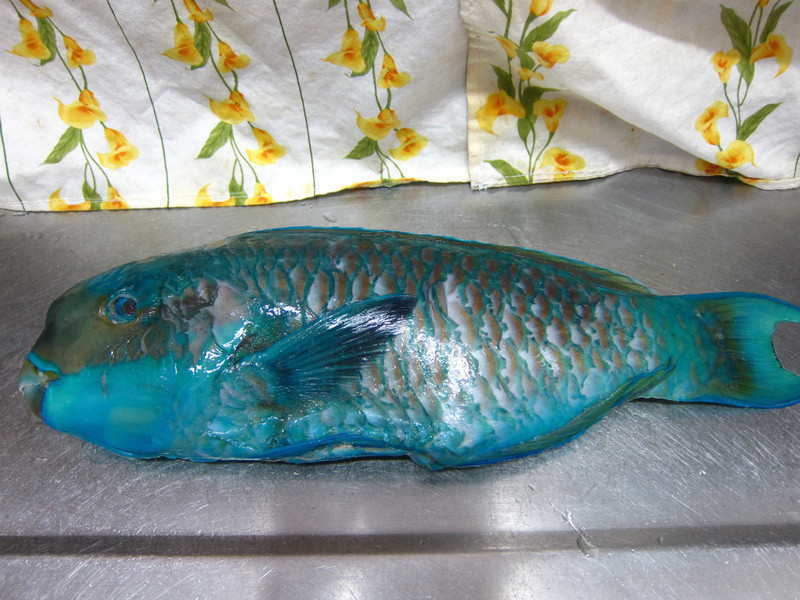 �����и������㡾Ұ�����m��������