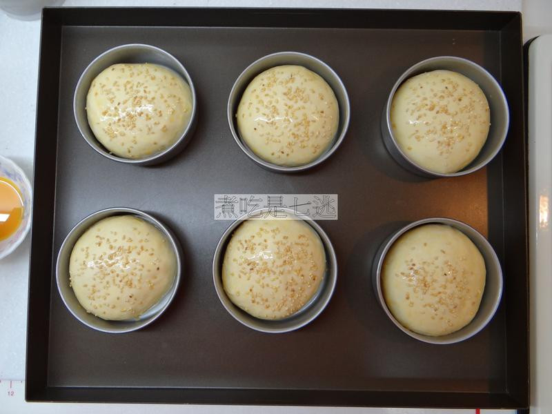 ���ƺ����ŵ�����