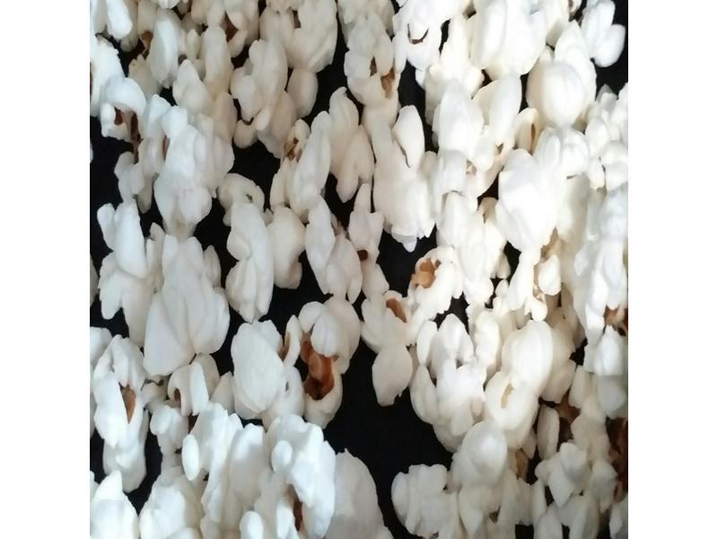 ���Ǳ��ȵ�����