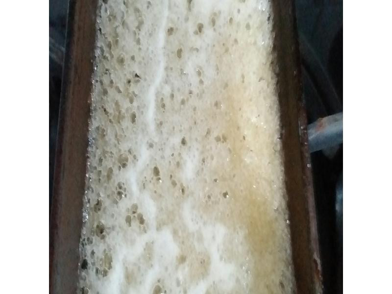 ���Ǳ��ȵ�����