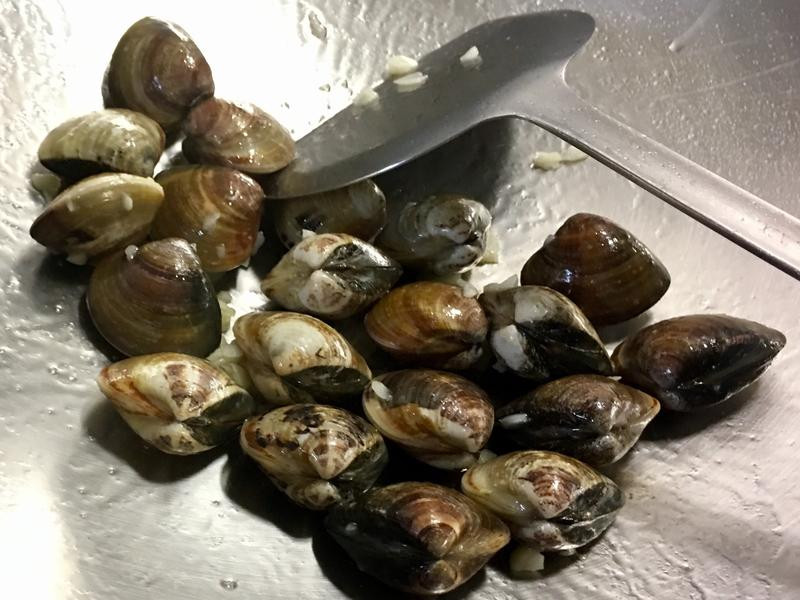 �������͸��۵�����