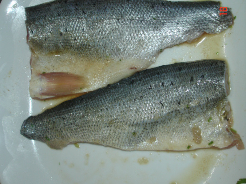 ���Ͽ����������