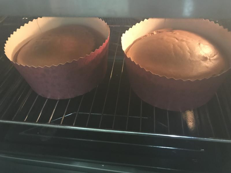 ���Ҷ�ݷ絰�������