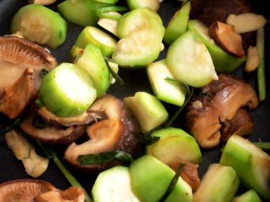 ����˿���˶���������