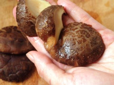 ����˿���˶���������