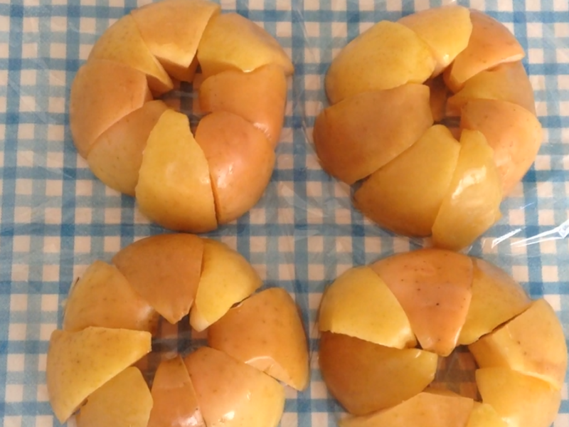 ˮ��ƻ����������