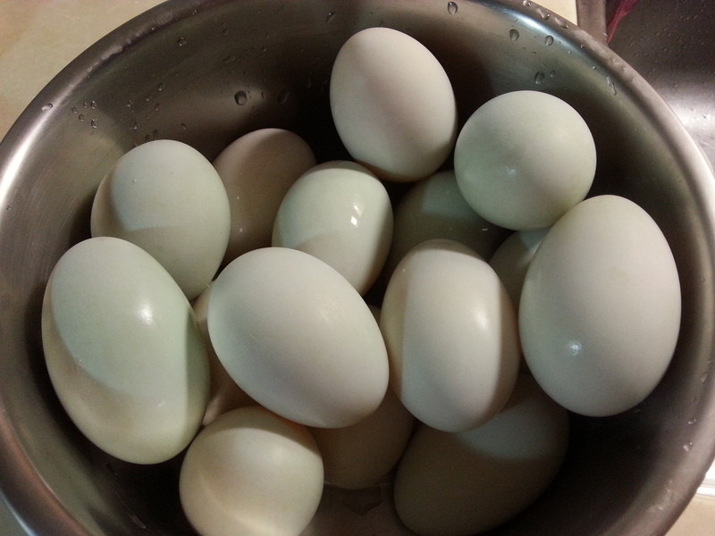 ���ĵ�[�������]������