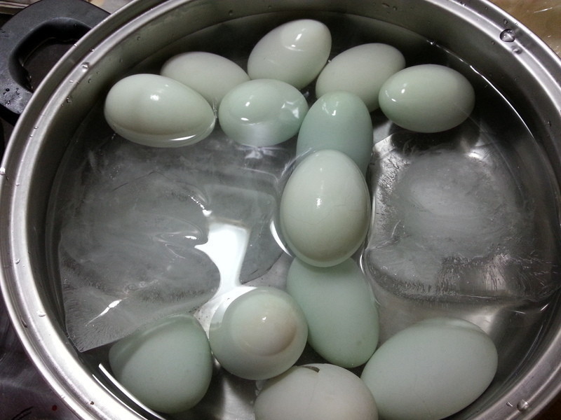 ���ĵ�[�������]������