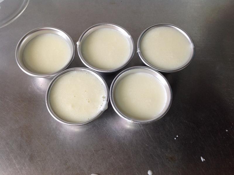 ����ţ�̶�������