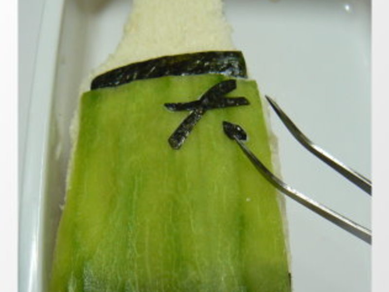 ���������ͺе�����