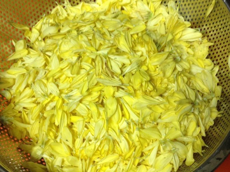 �ջ�Ѻ��˾������