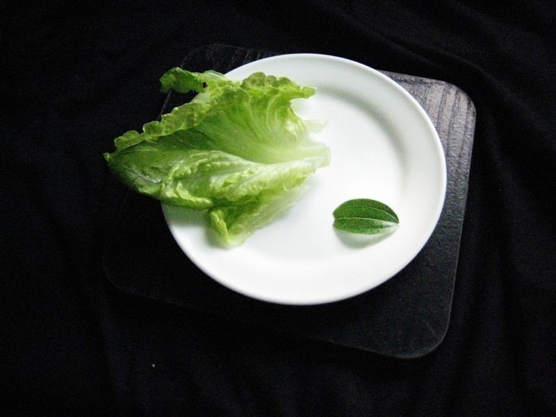 �Ӹ�������������