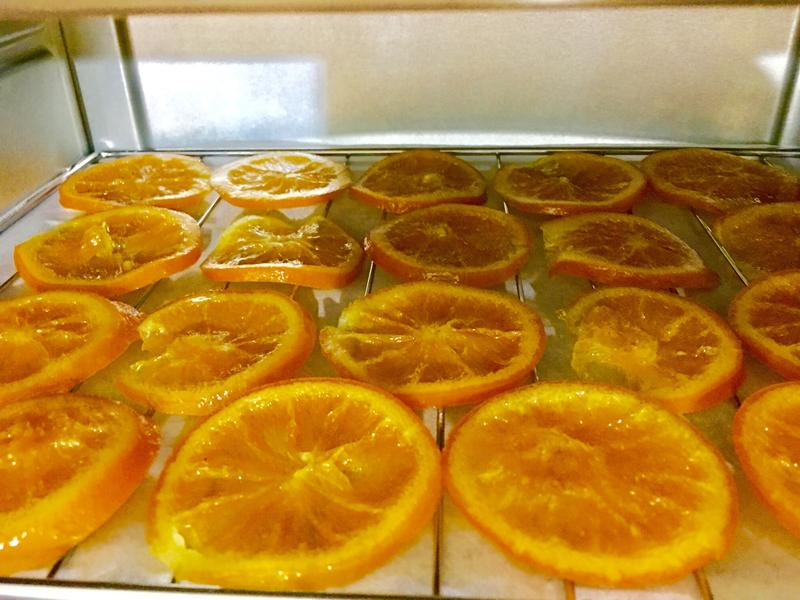 ��ʽ�ɿ�����ݳ�Ƭ������