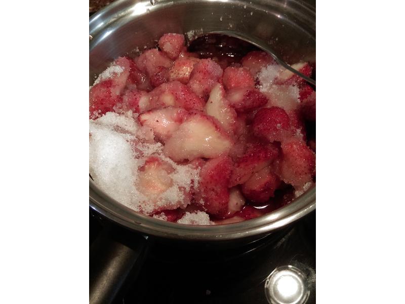 ����Ҭ������������ݮ����-����ѿ&����������