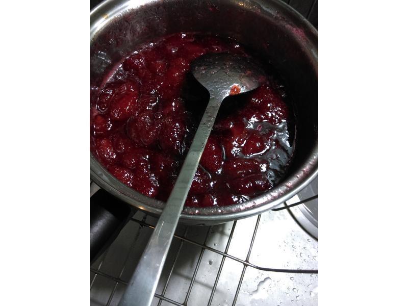 ����Ҭ������������ݮ����-����ѿ&����������