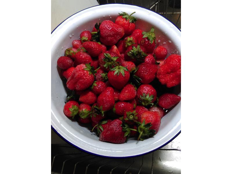 ����Ҭ������������ݮ����-����ѿ&����������