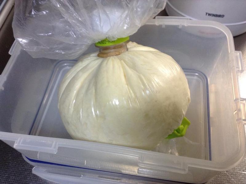 ��ݮҬ�������ͯ�껳�ɿ������