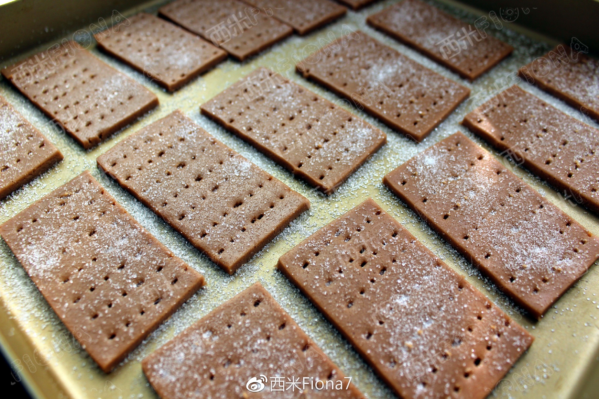 �����ɿ������ı��ɵ�����