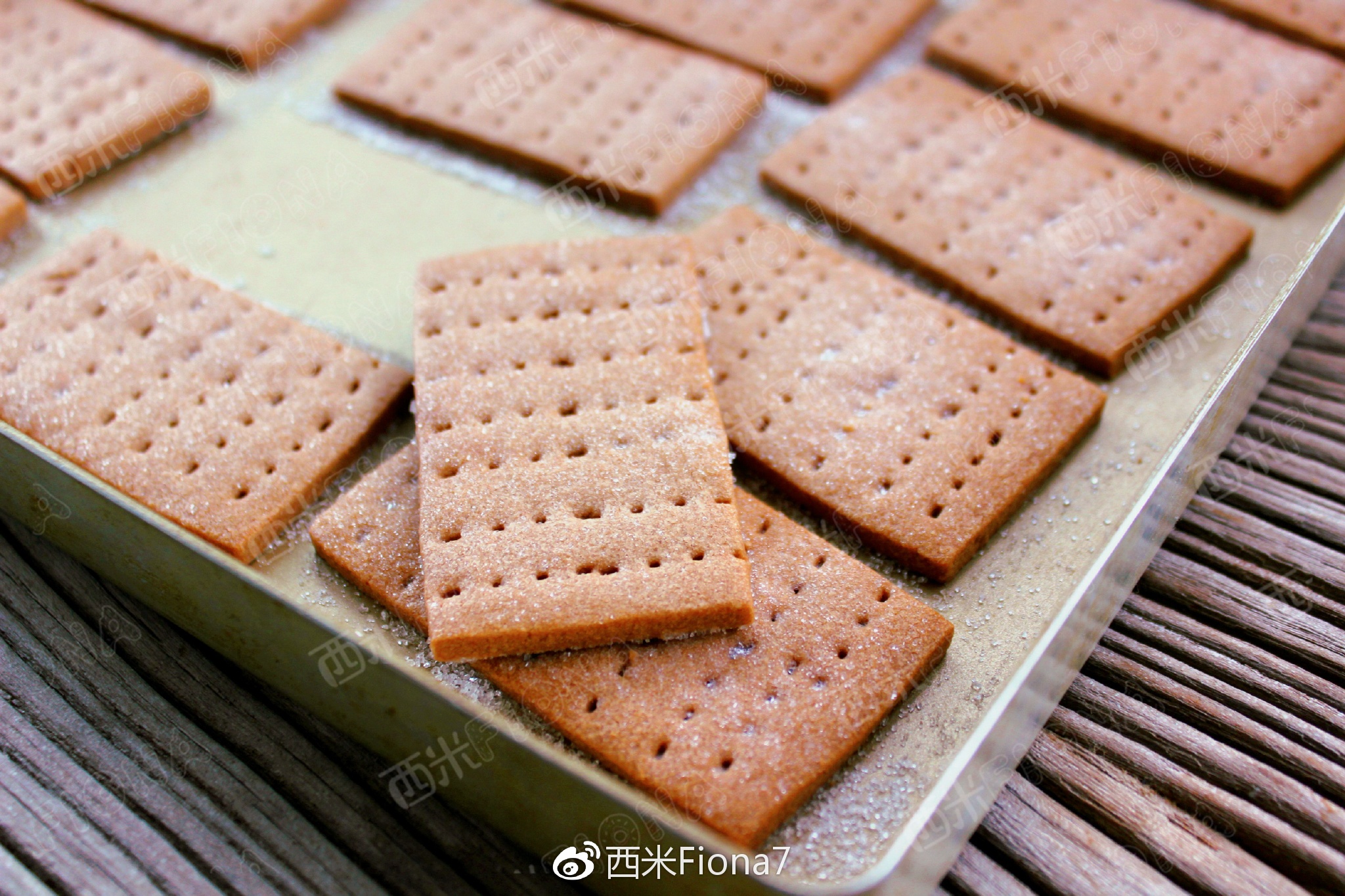 �����ɿ������ı��ɵ�����