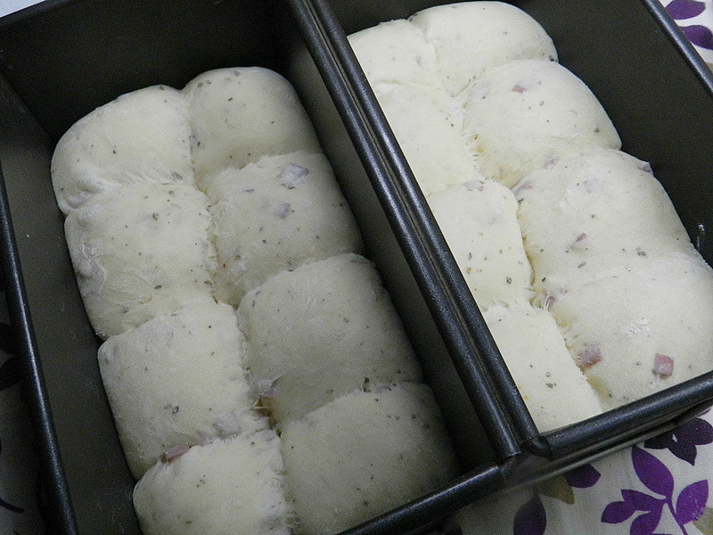 ���������Ũ�׽����������