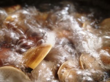 �������[���׼ҳ�ʳ��]������