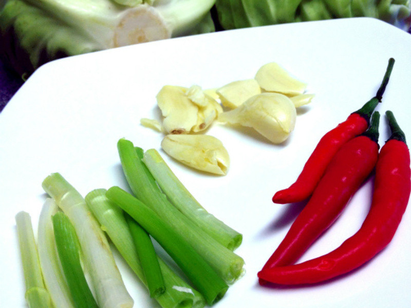 �ҳ����������� @�շ����ռǵ�����