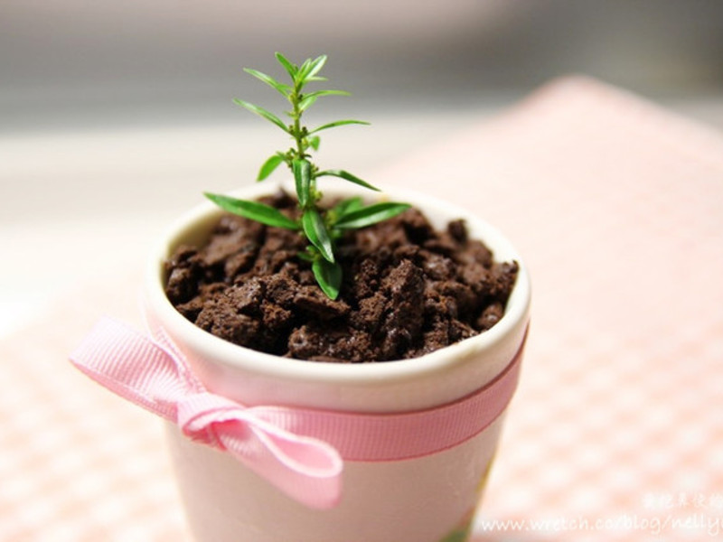 �����Ÿ�������Ʒ������