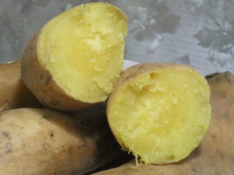 ��Сʱ������عϡ�������