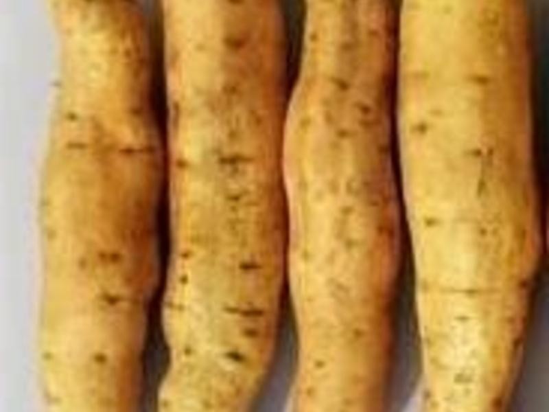 ��Сʱ������عϡ�������