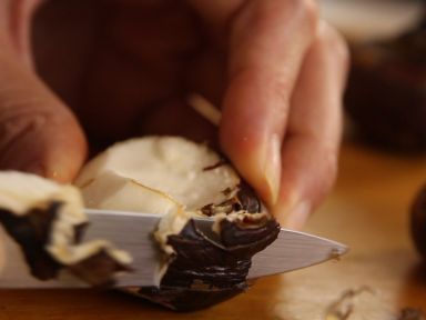 ����é��ˮ������