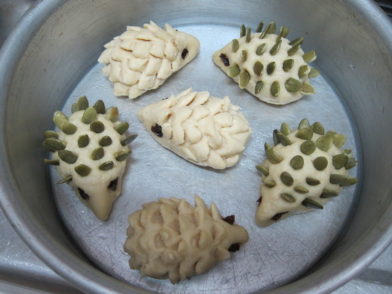 ��⬶����ȹ��������ȹ���������