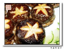 �㹽ţ���������